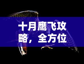 十月鹰飞攻略，全方位解析游戏策略与技巧