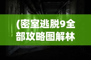 (密室逃脱9全部攻略图解林菀檬)密室逃脱9游戏全攻略图解，解锁谜题之门