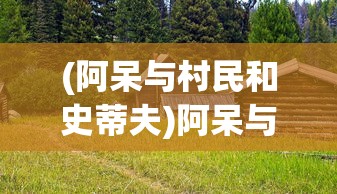 (阿呆与村民和史蒂夫)阿呆与村庄，一段独特的乡村故事