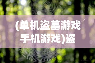 (单机盗墓游戏手机游戏)盗墓游戏单机手机版，探险之旅与虚拟世界的交融