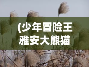(王者荣耀守卫者)荣耀守卫者上线时间解析，期待与未来的碰撞