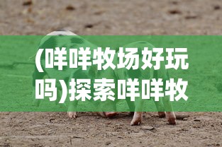(咩咩牧场好玩吗)探索咩咩牧场，地理位置与独特魅力