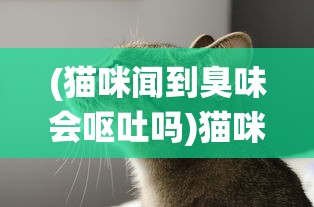 (猫咪闻到臭味会呕吐吗)猫咪闻到异味会引发呕吐吗，探究猫咪嗅觉与消化系统之间的关系