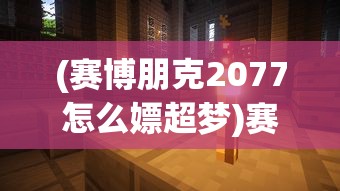(赛博朋克2077怎么嫖超梦)赛博朋克2077，游戏内嫖客行为指南及常见问题解答