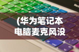 (华为笔记本电脑麦克风没有声音)华为笔记本电脑麦克风没声音怎么设置，详细教程与常见问答