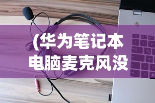 (华为笔记本电脑麦克风没有声音)华为笔记本电脑麦克风没声音怎么设置，详细教程与常见问答