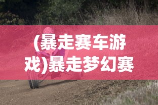 (暴走赛车游戏)暴走梦幻赛车北极星通关攻略教程