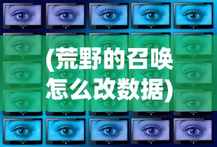 (荒野的召唤怎么改数据)荒原召唤游戏密码修改步骤详解及常见问题解答