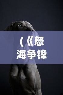 (《怒海争锋》)怒海争锋网游，探索海洋竞技的无限魅力