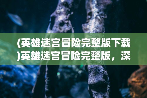 (英雄迷宫冒险完整版下载)英雄迷宫冒险完整版，深度探索与全面解析