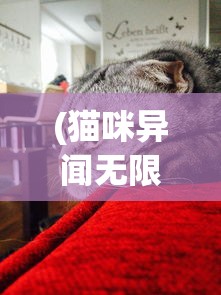 (猫咪异闻无限星星)猫咪异闻，无限星币的神秘之旅
