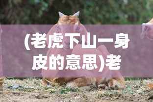 (老虎下山一身皮的意思)老虎下山一张皮背后的寓意与解读