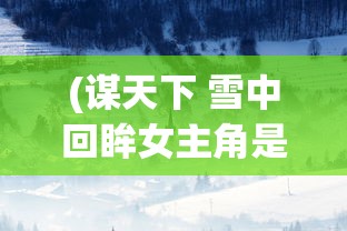 (谋天下 雪中回眸女主角是谁)谋天下，雪中回眸的历史深度与文学魅力
