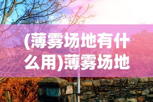 (薄雾场地有什么用)薄雾场地，挑战与机遇并存