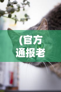 (官方通报老虎进村咬人了)官方通报老虎进村咬人事件，深度分析与常见问题解答