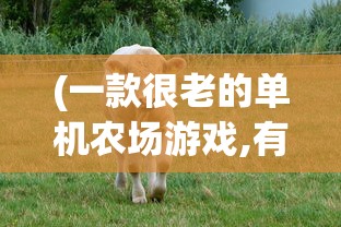 (一款很老的单机农场游戏,有ufo情节)一款经典单机农场游戏，时光回溯的农业冒险之旅