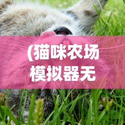 (电脑版神庙逃亡叫什么)电脑版神庙逃亡，冒险与逃亡的极致体验