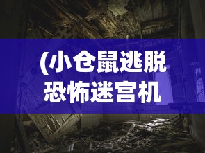 (小仓鼠逃脱恐怖迷宫机关)小仓鼠勇闯恐怖医院迷宫，迷宫冒险之旅揭秘