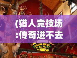 (猎人竞技场:传奇进不去)猎人竞技场传奇，为何这款游戏未能吸引众多玩家？