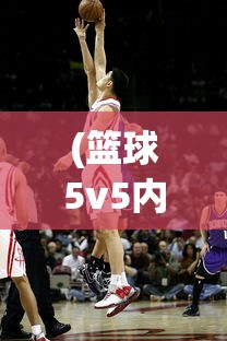(篮球5v5内置作弊菜单新版)篮球5v5内置作弊菜单，游戏背后的真相与挑战
