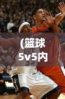 (篮球5v5内置作弊菜单新版)篮球5v5内置作弊菜单，游戏背后的真相与挑战