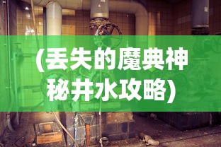 (丢失的魔典神秘井水攻略)丢失的魔典3，被遗忘的水井攻略及常见问题解答