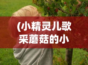 (侠客岛腊八粥)侠客岛，历史、文化与现代价值的探索