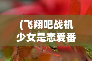 (飞翔吧战机少女是恋爱番吗)飞翔吧，战机少女——青春与荣耀的空战传奇