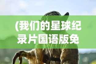 (奇趣博物馆杂志)奇趣博物馆航海图获取攻略及常见问题解答