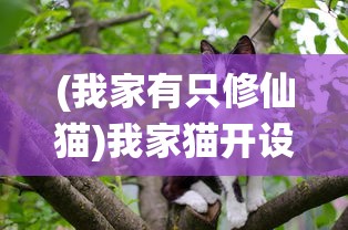 (我家有只修仙猫)我家猫开设的修仙中心，无限鱼干的奇幻之旅