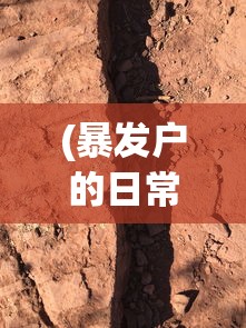 (暴发户的日常 小说)暴发户的日常，探究其动态与现状，是否已弃文？