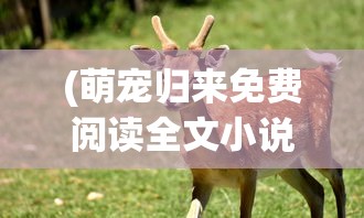 (萌宠归来免费阅读全文小说)萌宠归来，免费阅读全文的魅力与深度探讨