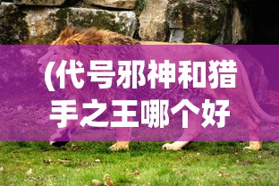 (代号邪神和猎手之王哪个好)代号邪神与猎手之王，一场神秘的对决