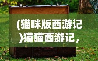 (猫咪版西游记)猫猫西游记，奇幻之旅下的深度解读