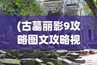 (传奇权倾天下版本有哪些)传奇权倾天下版本，探索新纪元的游戏传奇