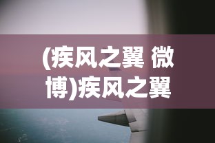 (疾风之翼 微博)疾风之翼微博，探索与启示