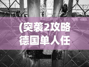 (突袭2攻略德国单人任务怎么做)突袭2德国单人任务攻略大全