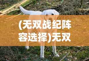 (无双战纪阵容选择)无双战纪，宠物捕捉攻略详解