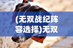 (无双战纪阵容选择)无双战纪，宠物捕捉攻略详解