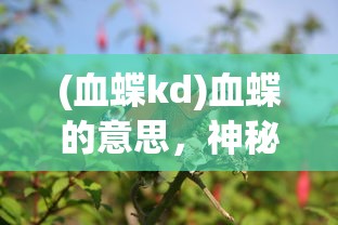 (血蝶kd)血蝶的意思，神秘与美丽的象征