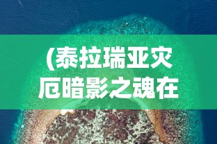 (泰拉瑞亚灾厄暗影之魂在哪刷)泰拉瑞亚灾厄暗影之魂，深入解析与探索