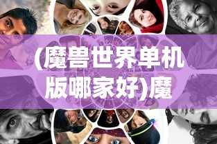 (魔兽世界单机版哪家好)魔兽世界单机版哪个版本最好，全面解析与比较