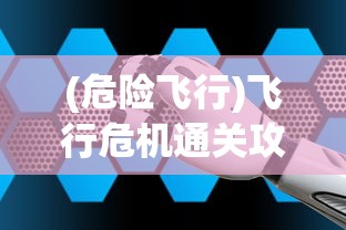 (危险飞行)飞行危机通关攻略大全及常见问题解答