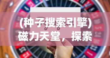 (种子搜索引擎)磁力天堂，探索高效的磁力搜索引擎