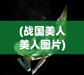 (战国美人美人图片)关于战国美人是否下架的探讨