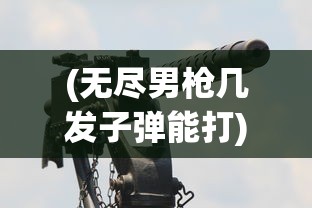 (无尽男枪几发子弹能打)无尽男枪子弹数量揭秘，深度解析男枪技能与战术运用