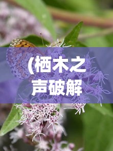(栖木之声破解版无限樱花币)栖木之声，自然之声，文化之韵