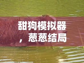 (江湖之战手游攻略)江湖之战手游，深度分析与独特体验探讨
