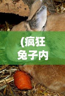 (梦幻炫舞怎么了)梦幻炫舞下架原因深度解析