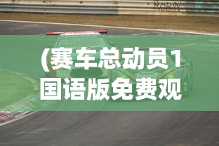 (赛车总动员1国语版免费观看高清)赛车总动员 720p，速度与激情的视觉盛宴